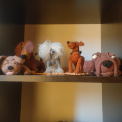 IMG20250707195655.jpg