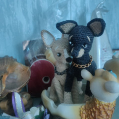 IMG20250707195912.jpg