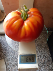 20250828_115905.jpg