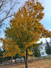 IMG_20250928_072812.jpg