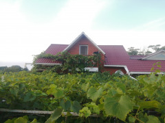IMG_20250903_192042.jpg