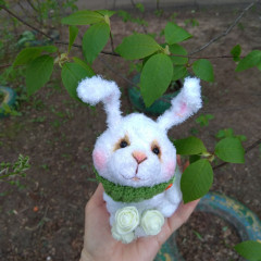 IMG_20220503_173453.jpg (232.48 КБ) 4211 просмотров #милый зай