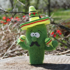 Crochet cactus inst.jpg