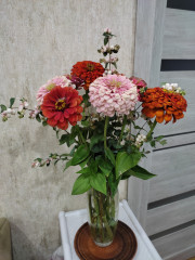 IMG_20230908_195038.jpg