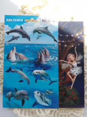 IMG_20241002_135114.jpg