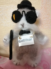 IMG_20230912_191403.jpg (184.39 КБ) 8074 просмотра Кот базилио