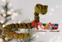 GridArt_20241130_151657928.jpg (144.32 КБ) 10773 просмотра #серпентарий