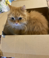 IMG_8366.jpeg (194.42 КБ) 6202 просмотра IMG_8366.jpeg