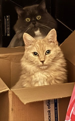 cea11ea3-039b-4954-8b00-7bbd9f5b4663.jpeg (137.19 КБ) 6202 просмотра cea11ea3-039b-4954-8b00-7bbd9f5b4663.jpeg