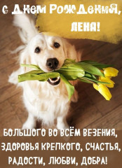 IMG_2763.jpeg