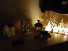 IMG_20241226_212158.jpg