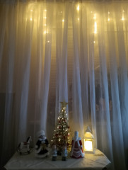 IMG_20241226_214417.jpg