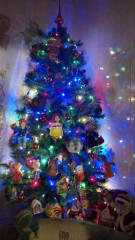 IMG-20241227-WA0065.jpeg