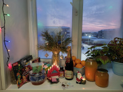 IMG_20241226_164620.jpg