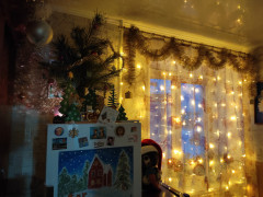 IMG_20241226_165044.jpg