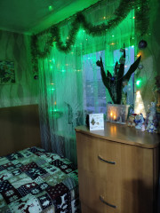 IMG_20241226_165712.jpg
