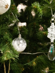 IMG_20241231_193510.jpg (196.45 КБ) 7855 просмотров шарики уже на ёлке