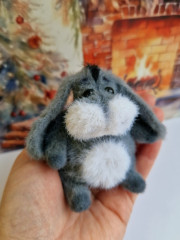 20250116_123650.jpg (161.53 КБ) 27914 просмотров #крошка ослик