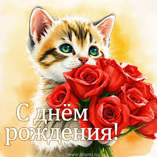 IMG_2848.jpeg