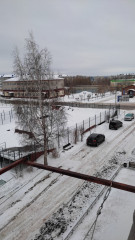 IMG_20250201_124614.jpg