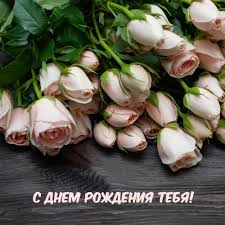 IMG_2909.jpeg