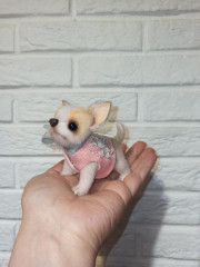 чиш6.jpg (100.66 КБ) 8141 просмотр чиш6.jpg