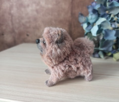 чау2.jpg (115.57 КБ) 8141 просмотр чау2.jpg