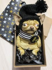 чих2.JPG (168.46 КБ) 8141 просмотр чих2.JPG