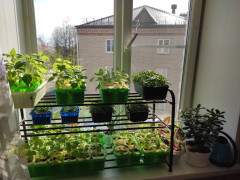 IMG_20250508_092126.jpg