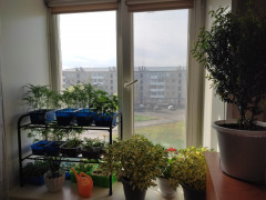 IMG_20250508_092028.jpg