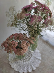 IMG_20240711_162719.jpg