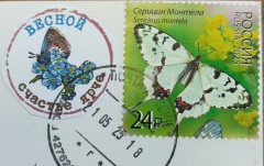 1748512014855.jpg