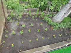 IMG_20250531_153555.jpg