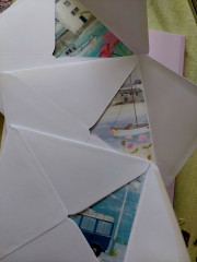 20250611_140413.jpg