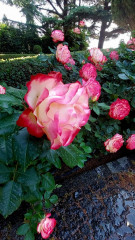 VideoCapture_20250604-211748.jpg