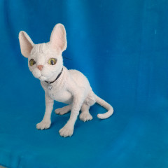 20250628_154400.jpg (183.19 КБ) 3742 просмотра По описанию Т. Коротких