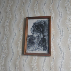IMG20250707200047.jpg