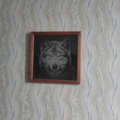 IMG20250707200036.jpg