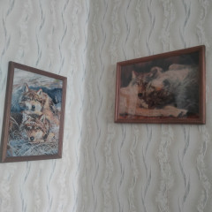 IMG20250707200030.jpg