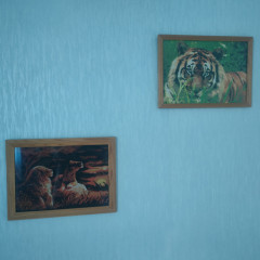 IMG20250707195843.jpg