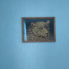 IMG20250707195857.jpg