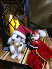 IMG_20211226_163447.jpg (125.04 КБ) 7018 просмотров По МК Татьяны Коротких