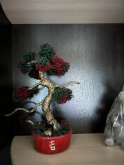 IMG_9865.jpeg