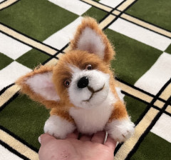 IMG_5972.jpeg (256.19 КБ) 3504 просмотра #коржик Риччи