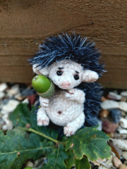 20250817_141244.jpg (211.03 КБ) 3378 просмотров #неколючие ежики