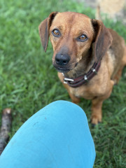 IMG_0691.jpeg