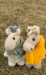 IMG_20250908_111530.jpg (262.55 КБ) 2108 просмотров #коньэлвис