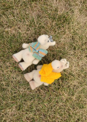 IMG_20250908_111607.jpg (436.46 КБ) 2896 просмотров #коньэлвис