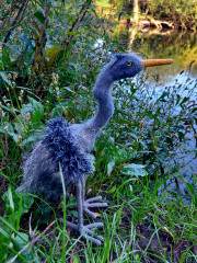 20250919_151009.jpg (532.77 КБ) 844 просмотра #цапля