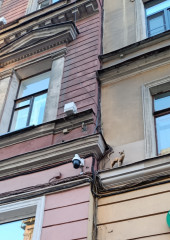 1759215988250.jpg
